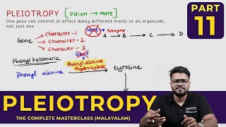 Mastering PLEIOTROPY  Principles of Inheritance and Variations  CLASS 11 [upl. by Dedie]