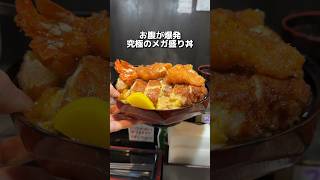 【究極のメガ盛り】三宮高架下に潜む究極のカツ丼 [upl. by Furtek]