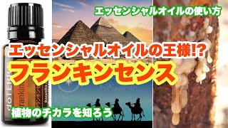 フランキンセンスは「エッセンシャルオイルの王様」＊紹介と使い方レポ＊ドテラジャパン・プロダクトコミッティPR＊アロマの楽しみ方 [upl. by Natsyrk915]