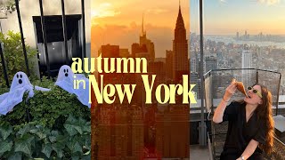 Life in New York🍂 Fall Shopping Baking amp Cosy Autumn Days  NihalTab [upl. by Palestine]