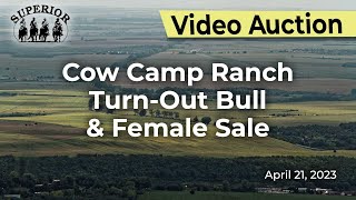 Cow Camp Ranch [upl. by Harlamert]