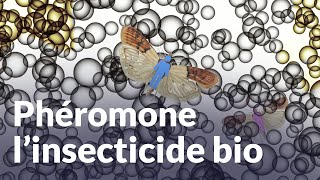 Phéromone l’insecticide bio  Des idées plein la tech’ [upl. by Trainer]