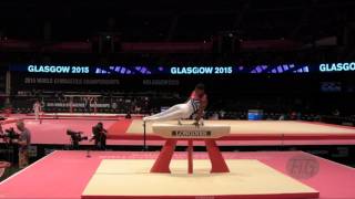 LARDUET Manrique CUB  2015 Artistic Worlds  Qualifications Pommel Horse [upl. by Enixam463]