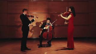 Astor Piazzolla  Oblivion arr for String Trio [upl. by Ahsinad]