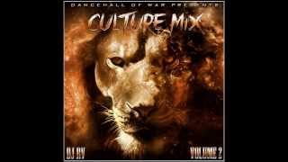 Reggae amp Culture Mix 2013 Chronixx Lutan Fyah IOctane amp More [upl. by Athalie]