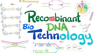 Recombinant DNA technology Biotechnology  Molecular Biology 🧬 amp Biochemistry [upl. by Armillia]