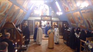 Divine Liturgy  Protection  Tonsure of a nun [upl. by Hillery409]