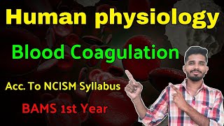 Blood Coagulation  Human Physiology BAMS  BHMS 1st year humanphysiology bams bhms [upl. by Shaw]