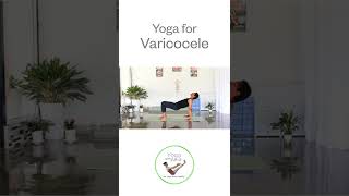 Varicocele Yoga Exercises  Treat at Home [upl. by Mchail]