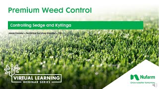 Premium Weed Control for Sedges and Kyllinga [upl. by Yajet917]