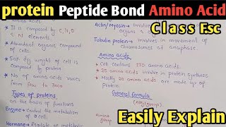 Proteins  Amino Acid Formula  Peptide Bond  Class 11 Biology UrduHindi [upl. by Whall409]