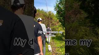 Today we went…HIKING puppy poochon pets funnydog cute happythepup [upl. by Anoek]