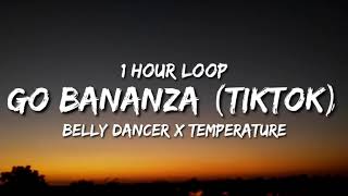 Belly Dancer x Temperature 1 hour loop  TikTok Remix Dont Be Shy Girl Go Bananza [upl. by Nivle]