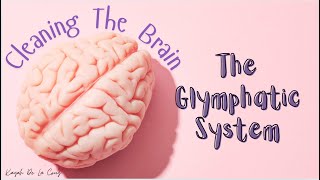 The Glymphatic System Breakthrough Junior Challenge [upl. by Esiouqrut]