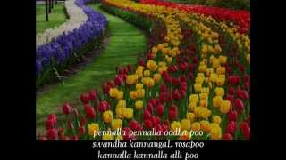 Pennalla pennalla oodha poo Lyrics Video  SPB Golden Hits [upl. by Harlie376]