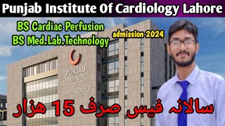 Punjab Institute Of Cardiology PIC Lahore Admission 2024 l PIC BS Cardiac Perfusion BS MLT 2024 [upl. by Liahcim278]