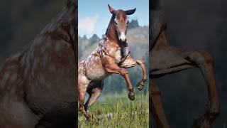 RARE Horses Location in Rdr2 🤠 shorts reddeadredemtion2 rdr2 [upl. by Ecnerewal]