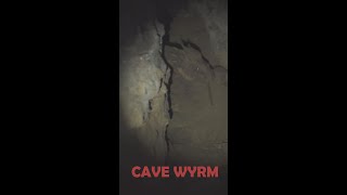 Cave Wyrm [upl. by Verdie]