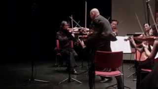 Grzegorz Kotow amp Academy of Taiwan Strings play Haydn [upl. by Aramenta]