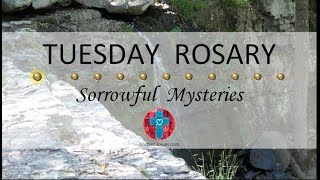 Tuesday Rosary • Sorrowful Mysteries of the Rosary 💜 October 3 2023 VIRTUAL ROSARY  MEDITATION [upl. by Annek]