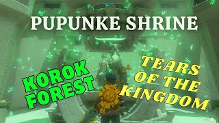 PUPUNKE SHRINE KOROK FORESTRAURUS BLESSING TEARS OF THE KINGDOM TUTORIAL [upl. by Aymahs]