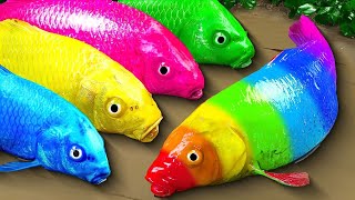 Catching DOZENS Colorful Fish Rainbow Eel Cartoon Stop Motion जादू मछली  Jadui Kahaniya in Hindi [upl. by Adnawot560]