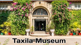 A Visit To Taxila Museum Gandhara Art In PakistanTaxila [upl. by Jdavie]