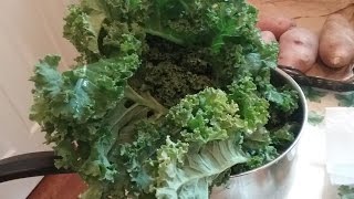 How To Eat Kale Without Removing the Stem [upl. by Vevina]