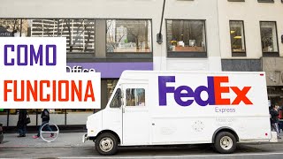 Como Funciona a FedEx Serviços e Taxas de Importação [upl. by Parsifal666]