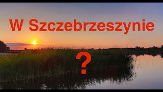 Learn this Polish tongue twister and impress [upl. by Regor523]