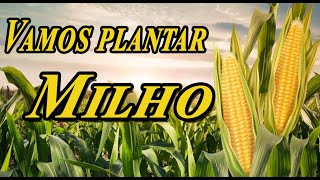 Vamos Plantar Milho Parte 1 passo a passo [upl. by Yuk]