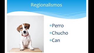 REGIONALISMOS TERCER GRADO [upl. by Elfont695]