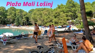 Mali Lošinj 🏖️ Plaža Čikat ☀️ Otok Lošinj 🇭🇷 Croatia 🏖️ Beach [upl. by Naaman]