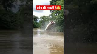 O MY GOD😱🥺 fish fishingvideo viralreels [upl. by Idnib]