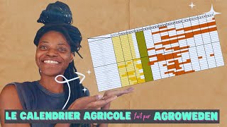 Le CALENDRIER AGRICOLE pour produire manioc arachide pistache tomate [upl. by Carma]