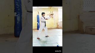 Advanced Taekwondo 11th form Taebaekbesttaekwondo taekwondoforms howtolearntaekwondo [upl. by Landre270]