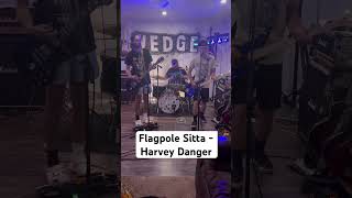 Flagpole Sitta cover…Full vid on channel [upl. by Rutter]