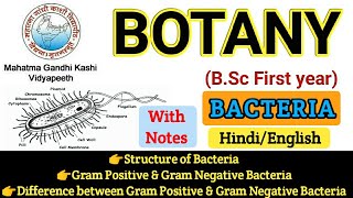 BSC First Year Botany  Botany First PaperStructure of BacteriaGram Ve amp Gram Ve Bacteria [upl. by Robb]