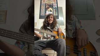 Turn your lights down low bass cover reggae music bobmarley wailers bobmarleyandthewailers [upl. by Tersina825]