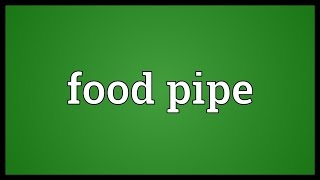 Food pipe Meaning [upl. by Nnairam649]