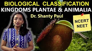 Kingdoms Plantae and Animalia  Biological classification lecture 5 [upl. by Eninahpets823]