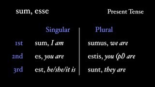 Irregular Verbs sum esse [upl. by Schaffel]