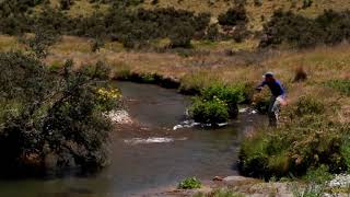 Tácticas avanzadas de pesca a ninfa  Elegir una ninfa [upl. by Costa]