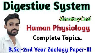 Digestive System Alimentary Canal Physiology  BSc2nd Year Zoology PaperIII byPrahalad Sir [upl. by Agneta]