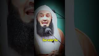 When a Person Do quot Wudu quot  By MUFTI MENK [upl. by Phelgen222]