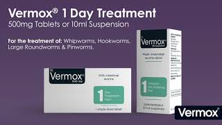 Vermox 1 day treatment  Available at Clicks now [upl. by Grearson]