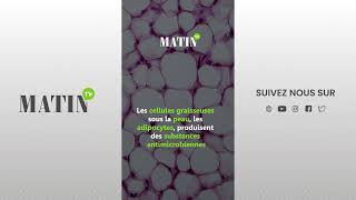 Santé  Les cellules graisseuses un bouclier contre les infections [upl. by Liatnahs]