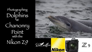 Photographing Dolphins at Chanonry Point with the Nikon Z9 [upl. by Eilatam]