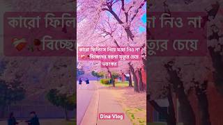 কারো ফিলিংস নিয়ে মজা নিও না❤️‍🩹music sad love ringtone tseries viralvideo foryou Dina Vlog [upl. by Carbrey]