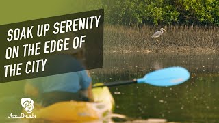 Kayaking in Abu Dhabi  Mangrove National Park  Experience Abu Dhabi [upl. by Alsworth668]